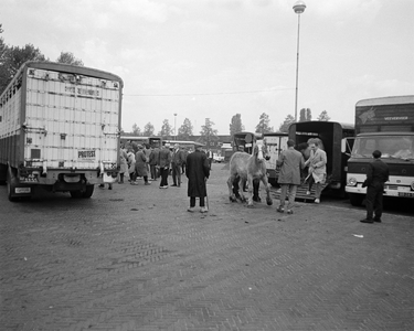 851553 Afbeelding van het uitladen van paarden op het Veemarktplein te Utrecht, vermoedelijk tijdens de laatste ...